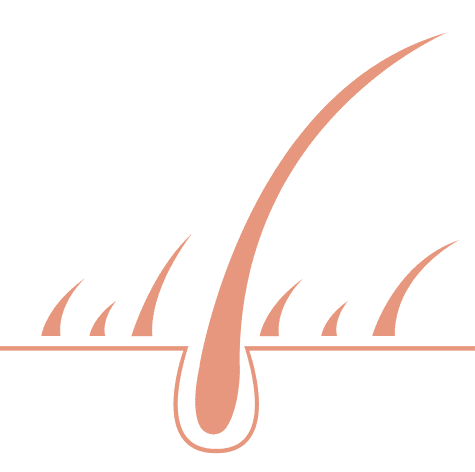 Gentle on Scalp & Hair